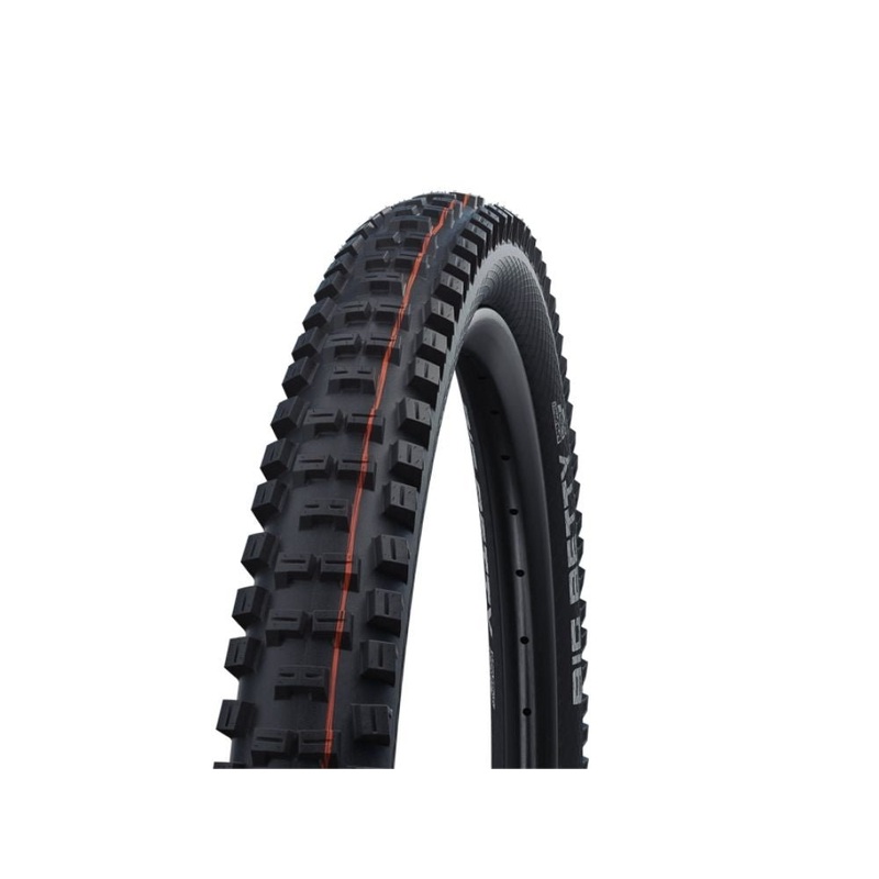 Schwalbe Big Betty Tire