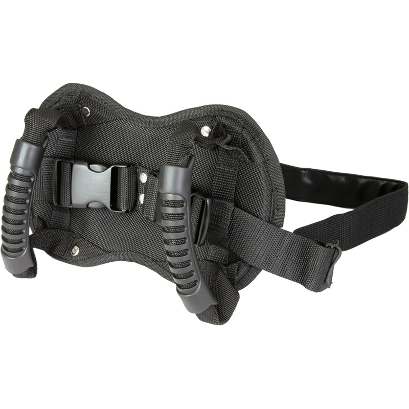 Bike It Pillion Buddy Rider Waist Belt
