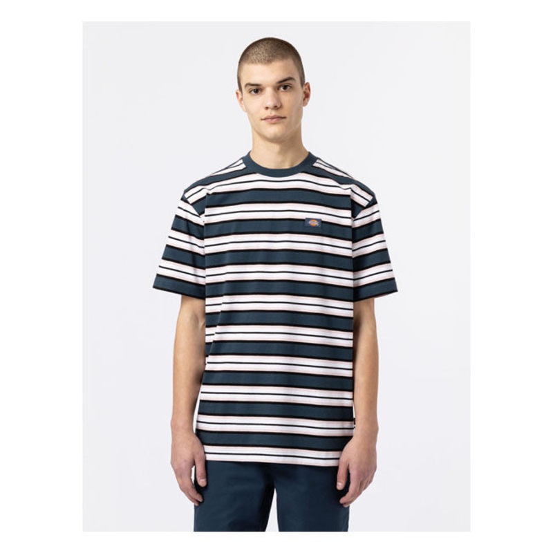 Dickies Lynnwood T-Shirt Air Force Blue