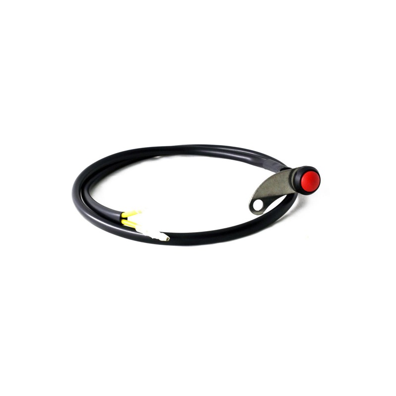 Push Button Switch
