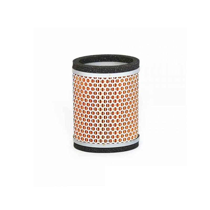 Air Filter T2209547