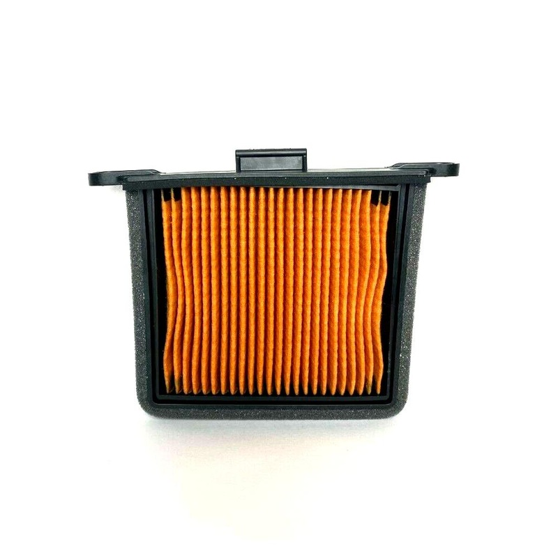 Air Filter LHS T2206530