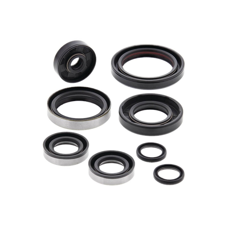 Engine Oil Seal Kit (822264)
