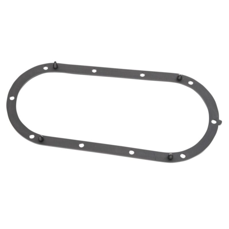 Seal For Fuel Pump Door – 02-07 FLT