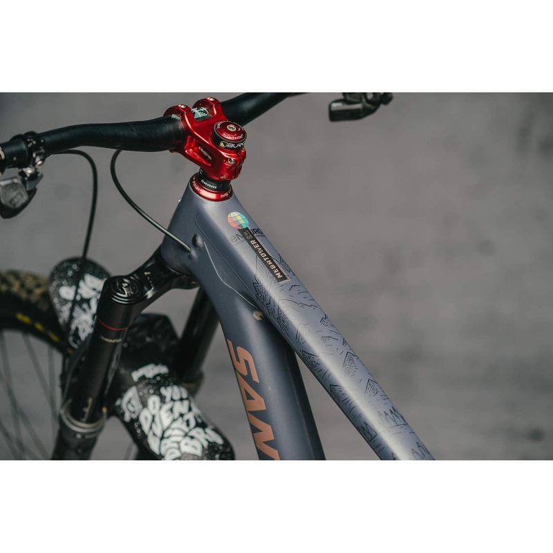 DYEDBRO Frame Protection – EWS Mountains Black