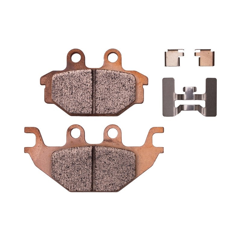 Rear Brake Pads, Part 2205854 (Scout)